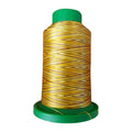 Isacord 9975 Autumn Harvest variegated 1,000m embroidery thread spool