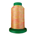 Isacord 9914 Neon Brights variegated 1,000m embroidery thread spool