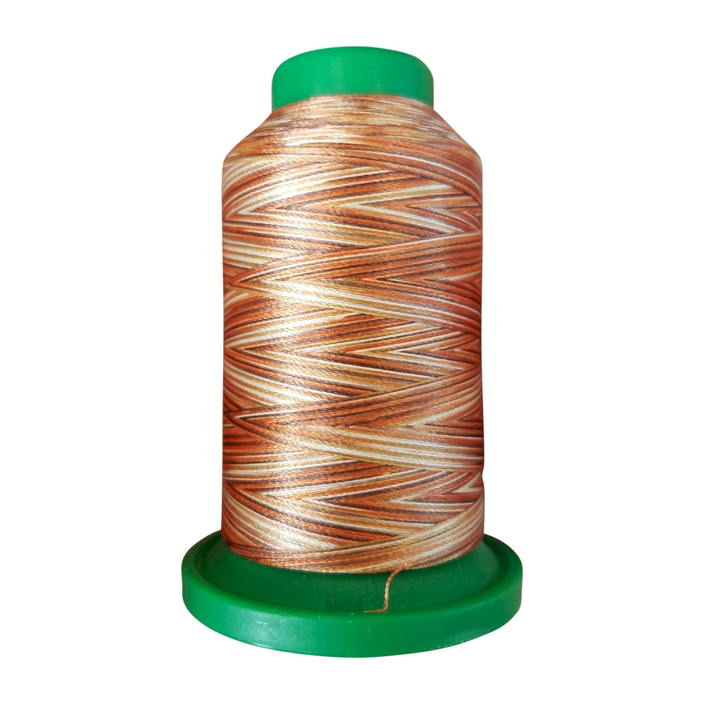 Isacord 9302 Bark variegated 1,000m embroidery thread spool