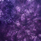 Westalee Design Spin An Echo Template #2