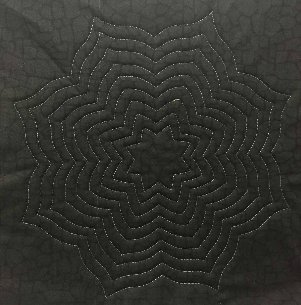 Westalee Design Spin An Echo Template #6