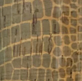 RNK Cork Fabric – Crocodile – Roll, 18″ x 25″ — manufacturer product view 1
