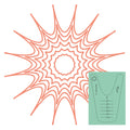 Spin An Echo #14