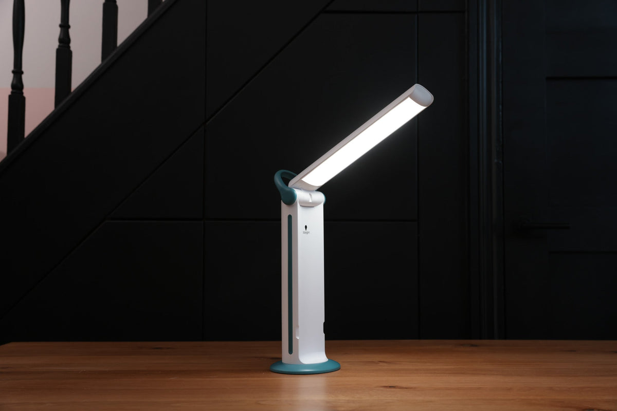 Daylight Twist 2 Go Portable Rechargeable Compact Desk Lamp, view 3