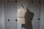 French European Half Body Male Torso, view 4