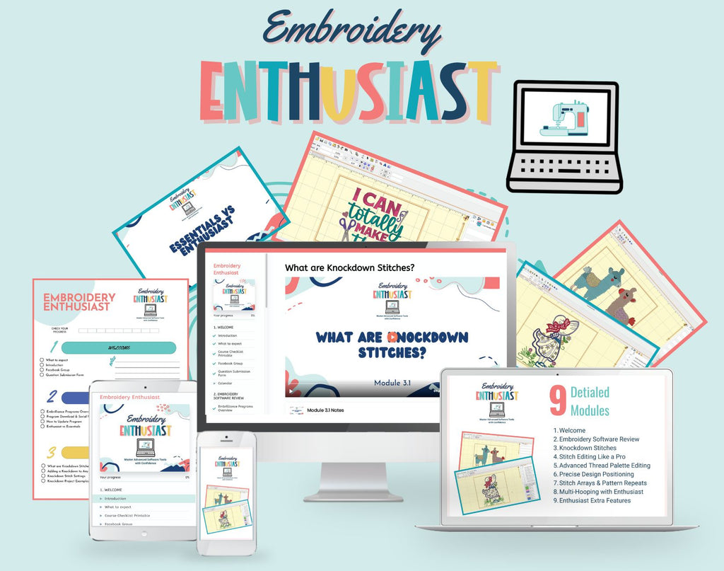 Embroidery Enthusiast online course