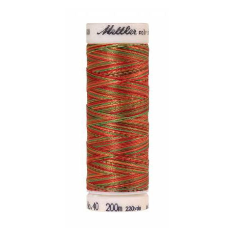 Mettler Poly Sheen Multi 9939 Mexicana variegated polyester embroidery thread