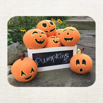 Embroidery Garden Pumpkin Snowballs included in Snowball Bundle