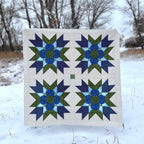 Seams Sew Me Friendship Blooms quilt example 9