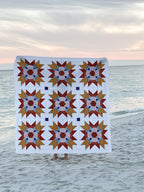 Seams Sew Me Friendship Blooms quilt example 5