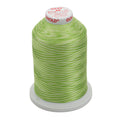 Sulky 40 Wt. Rayon Variegated Thread - Bright Greens - 5,500 yd. Jumbo Cone