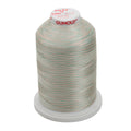 Sulky 40 Wt. Rayon Multi-Color Thread - Seafoam/Coral Reef/Ecru - 5,500 yd. Jumbo Cone
