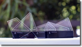 Westalee Design Vespera Stash Buster Set